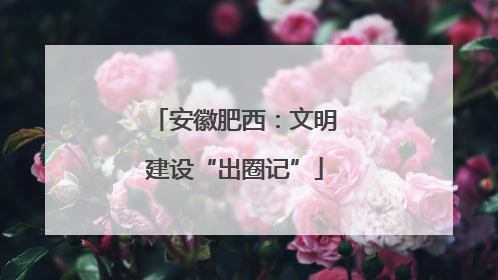 安徽肥西：文明建设“出圈记”