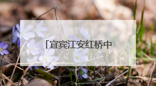 宜宾江安红桥中心校开展庆“六一”艺术节暨课后服务成果展演活动