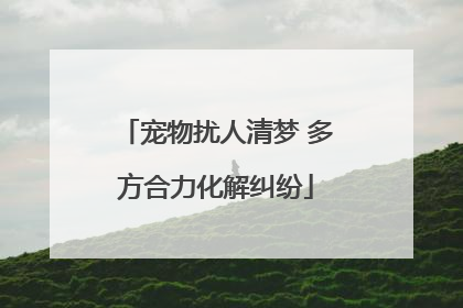 宠物扰人清梦 多方合力化解纠纷