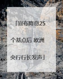 宣布降息25个基点后 欧洲央行行长发声