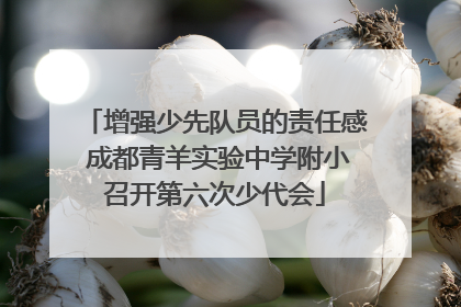 增强少先队员的责任感 成都青羊实验中学附小召开第六次少代会
