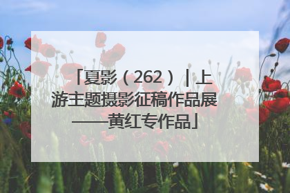 夏影（262）｜上游主题摄影征稿作品展——黄红专作品