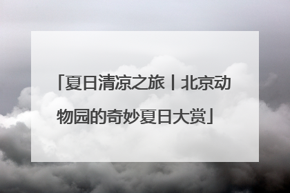 夏日清凉之旅丨北京动物园的奇妙夏日大赏
