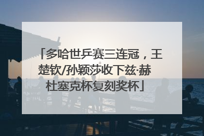 多哈世乒赛三连冠，王楚钦/孙颖莎收下兹·赫杜塞克杯复刻奖杯