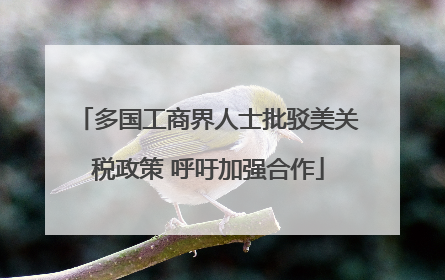 多国工商界人士批驳美关税政策 呼吁加强合作
