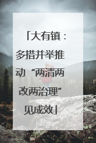 大有镇：多措并举推动“两清两改两治理”见成效