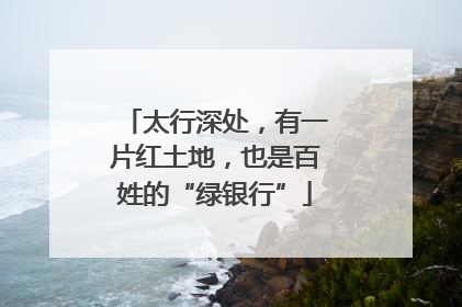 太行深处，有一片红土地，也是百姓的“绿银行”