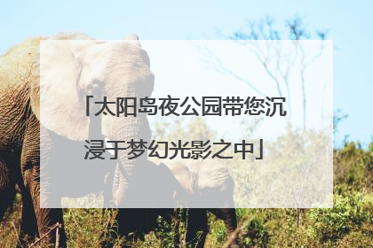 太阳岛夜公园带您沉浸于梦幻光影之中