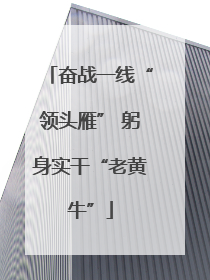 奋战一线“领头雁” 躬身实干“老黄牛”