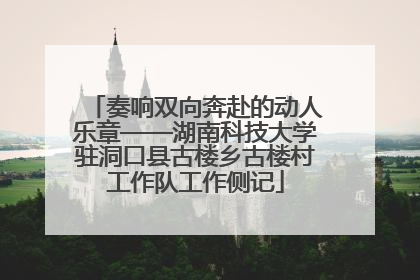 奏响双向奔赴的动人乐章——湖南科技大学驻洞口县古楼乡古楼村工作队工作侧记