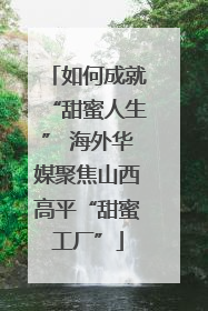 如何成就“甜蜜人生” 海外华媒聚焦山西高平“甜蜜工厂”