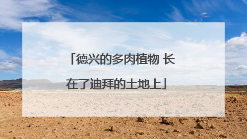 德兴的多肉植物 长在了迪拜的土地上