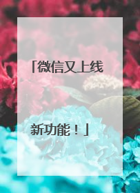 微信又上线新功能！