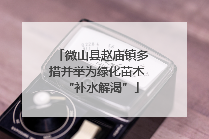 微山县赵庙镇多措并举为绿化苗木“补水解渴”