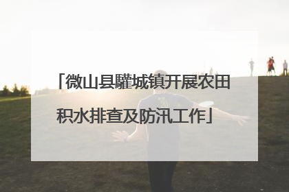 微山县驩城镇开展农田积水排查及防汛工作