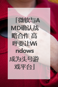 微软与AMD确认战略合作 高呼要让Windows成为头号游戏平台