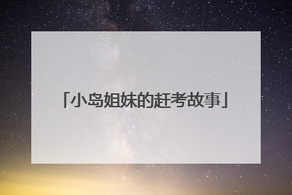 小岛姐妹的赶考故事