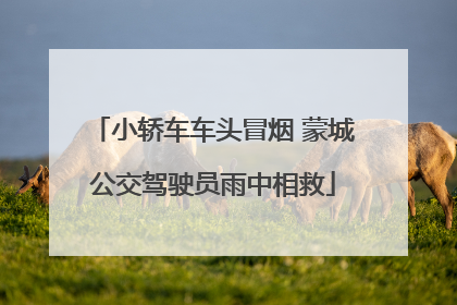 小轿车车头冒烟 蒙城公交驾驶员雨中相救