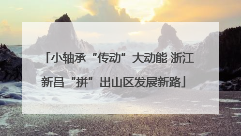 小轴承“传动”大动能 浙江新昌“拼”出山区发展新路