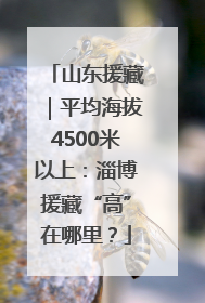 山东援藏｜平均海拔4500米以上：淄博援藏“高”在哪里？