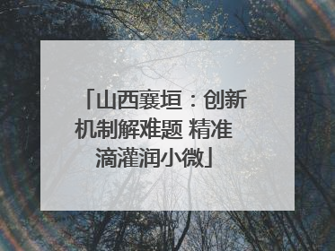 山西襄垣：创新机制解难题 精准滴灌润小微