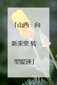 山西：向新求变 转型提速