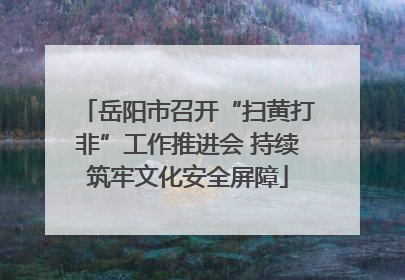 岳阳市召开“扫黄打非”工作推进会 持续筑牢文化安全屏障