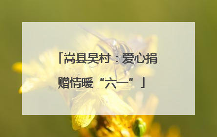 嵩县吴村：爱心捐赠情暖“六一”