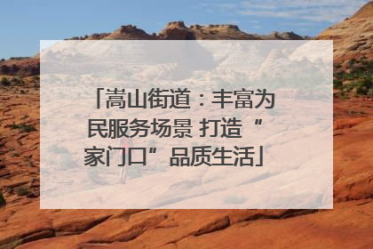 嵩山街道：丰富为民服务场景 打造“家门口”品质生活