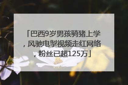 巴西9岁男孩骑猪上学，风驰电掣视频走红网络，粉丝已超125万