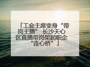 工会主席变身“带岗主播” 长沙天心区直播带岗架起职企“连心桥”