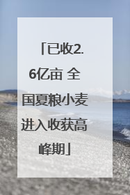 已收2.6亿亩 全国夏粮小麦进入收获高峰期