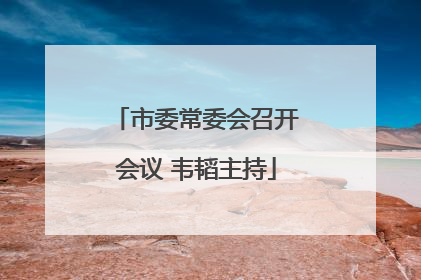 市委常委会召开会议 韦韬主持
