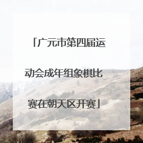 广元市第四届运动会成年组象棋比赛在朝天区开赛