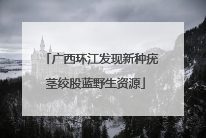 广西环江发现新种疣茎绞股蓝野生资源