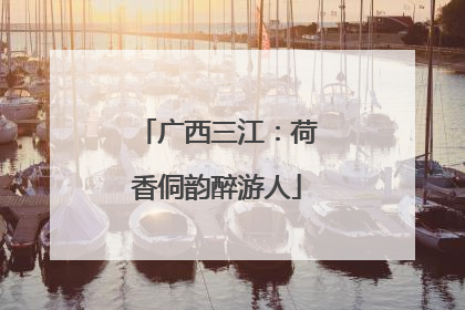 广西三江：荷香侗韵醉游人