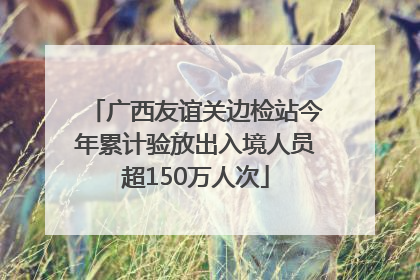 广西友谊关边检站今年累计验放出入境人员超150万人次