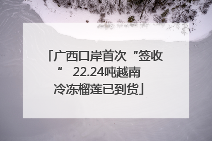 广西口岸首次“签收” 22.24吨越南冷冻榴莲已到货