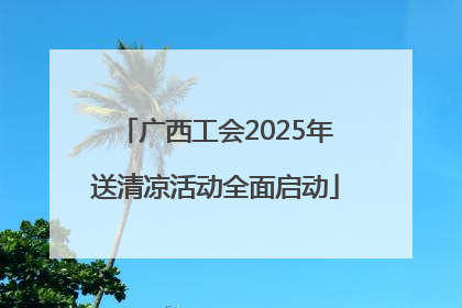 广西工会2025年送清凉活动全面启动
