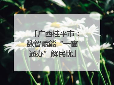 广西桂平市：数智赋能“一窗通办”解民忧