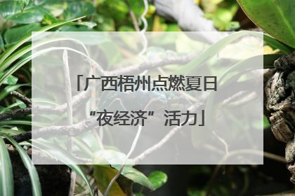 广西梧州点燃夏日“夜经济”活力
