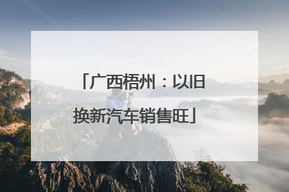 广西梧州：以旧换新汽车销售旺