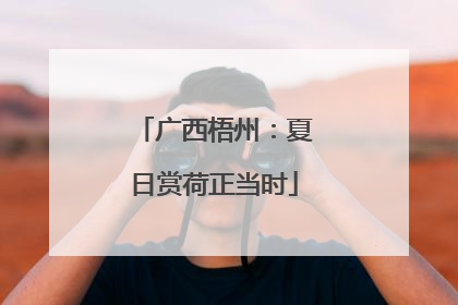 广西梧州：夏日赏荷正当时