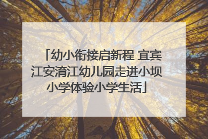 幼小衔接启新程 宜宾江安淯江幼儿园走进小坝小学体验小学生活