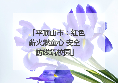 平顶山市：红色薪火燃童心 安全防线筑校园