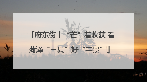 府东街丨“芒”着收获 看菏泽“三夏”好“丰景”