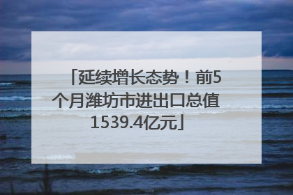 延续增长态势！前5个月潍坊市进出口总值1539.4亿元
