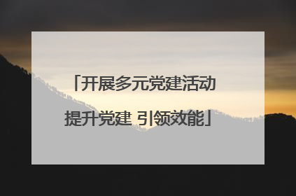开展多元党建活动 提升党建 引领效能