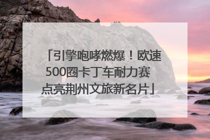 引擎咆哮燃爆！欧速500圈卡丁车耐力赛点亮荆州文旅新名片