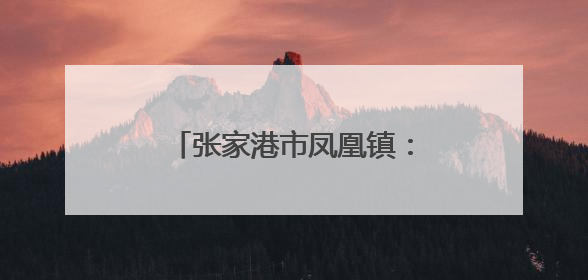 张家港市凤凰镇：“艾”上军旅岁月，“粽”享端午温情